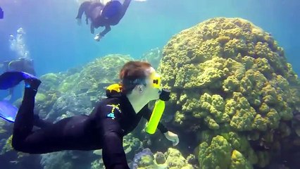 8 NEW Crazy Water Toys by Merlin Turner