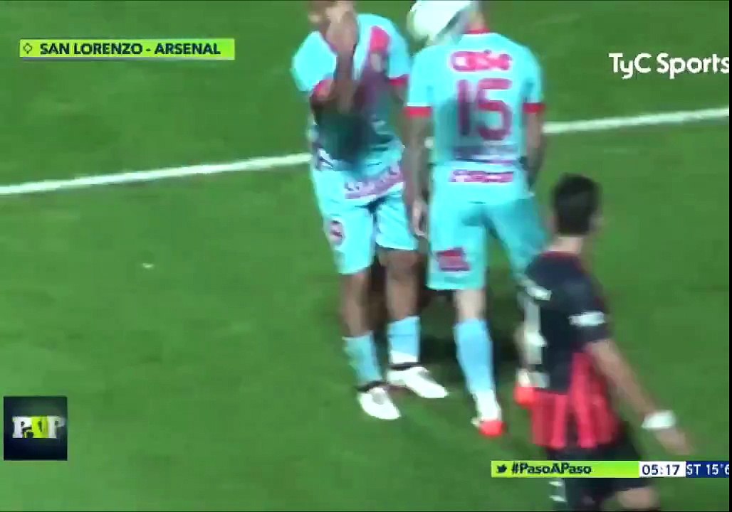 Un petit chien interrompt un match de foot