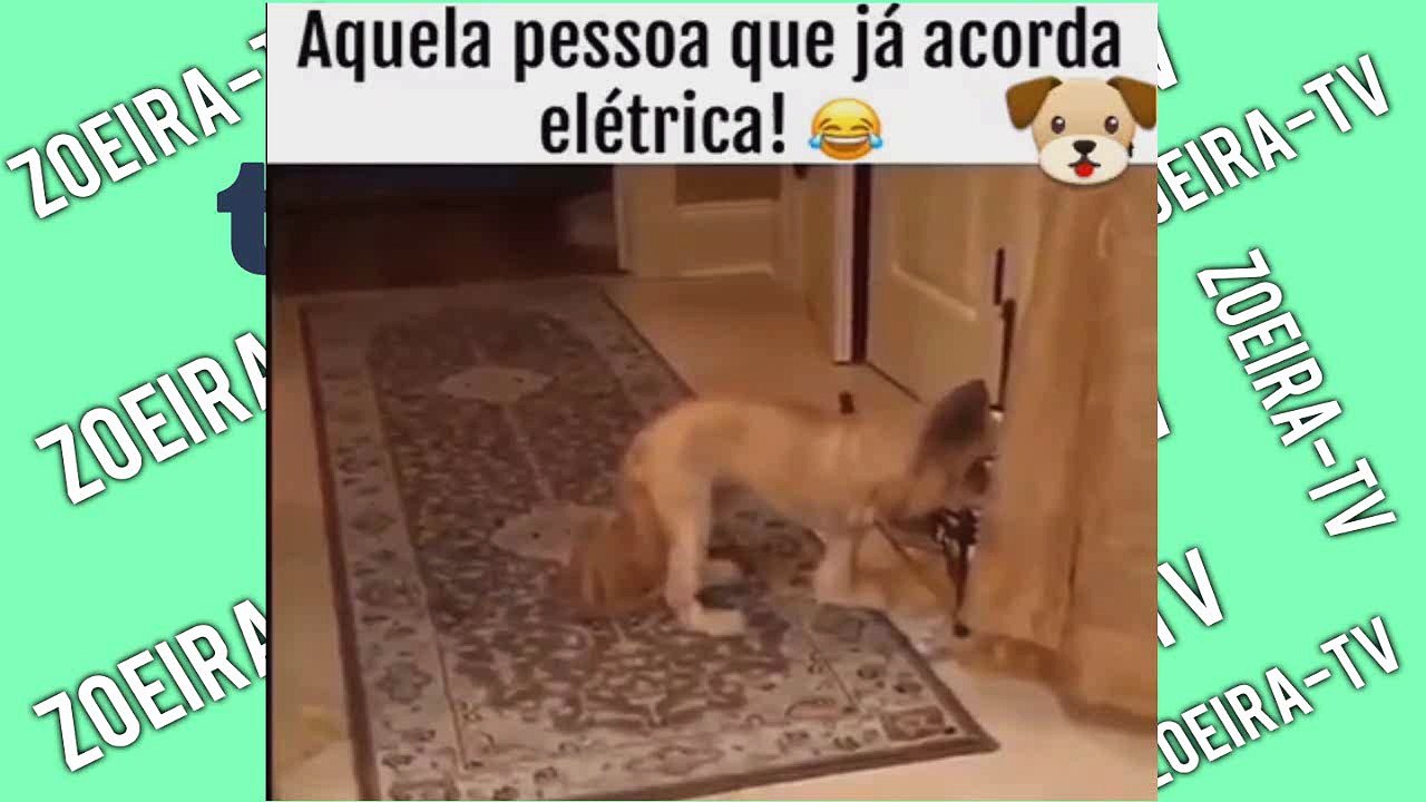 AQUELA PESSOA QUE JÁ ACORDA ELÉTRICA !