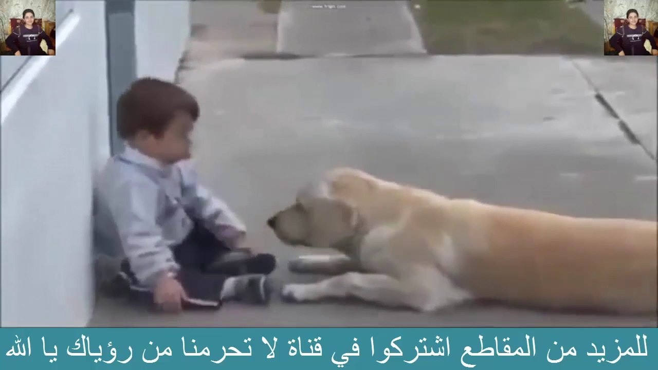 سبحان الله ! كلب وفي جدا لن تصدق ما الذي فعله الكلب مع طفل معاق