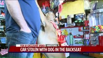Owner Reunites With Dog After Thief Steals Car With Him Inside