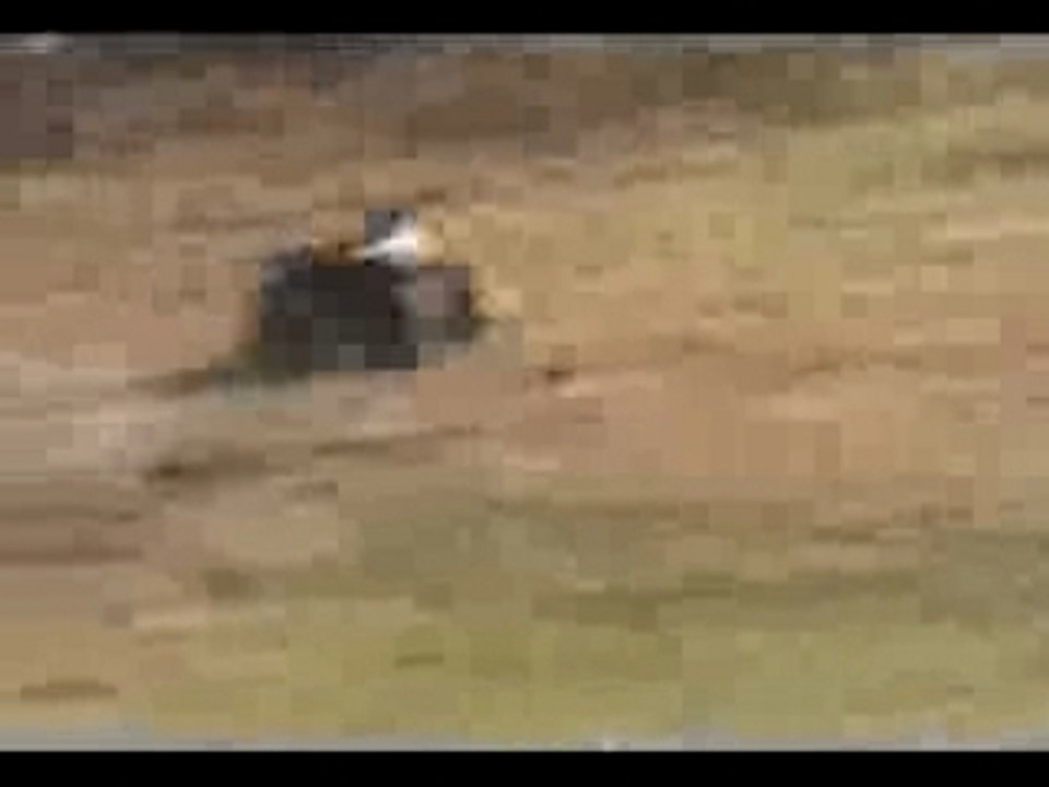 régis et son quad