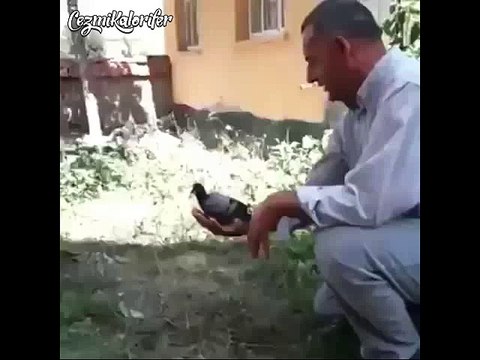 Masada Sigara Paketi Gören Yancı Arkadaş Gibi Kuşu Kapan Kedi