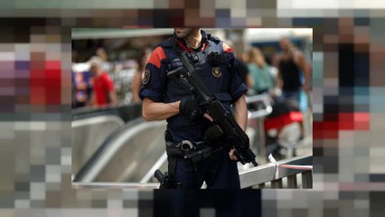 Catalunha rejeita que Madrid coordene Mossos D'Esquadra