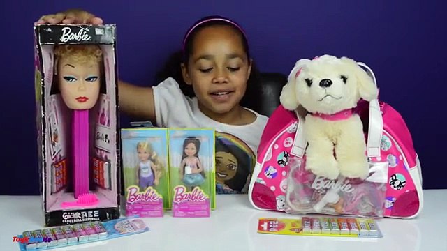 Giant Barbie Pez Candy Dispenser Barbie Puppy Pet Doctor Check Up Dolls Review