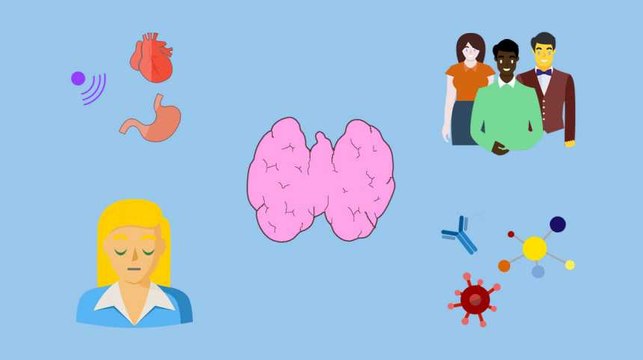 Lévothyrox: La thyroïde, qu'est-ce que c'est ? Comme dysfonctionne-t-elle ?