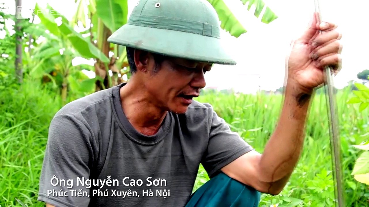 Wow! Amazing Vietnamese People Catching Fish By Using The Net, Net Fishing In Mekong River