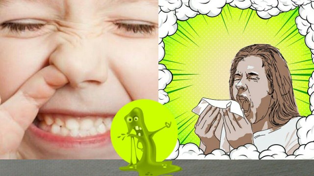 Moco mucosa y mucofagia (en casi menos de 3 minutos)