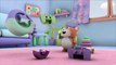 Looi the Cat | 3D Animation for Kids | Loois Birthday | Animal Toy Cartoons | Puzzle