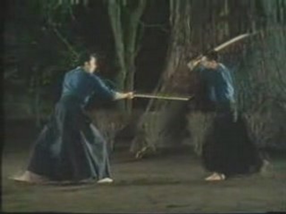 tenshin shoden katori shinto ryu - Vidéo Dailymotion