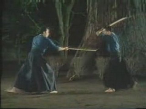 tenshin shoden katori shinto ryu