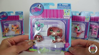 NEW Littlest Pet Shop Boobleheads Figures FULL Collection Mommy and Baby | Toy Caboodle