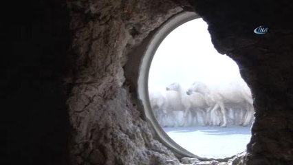 Merdiven Altını Çamaşır Makinesi Kapağı ile Kümes Yaptı