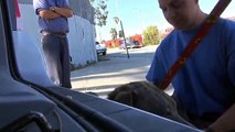 Homeless Dog rescued - Must see