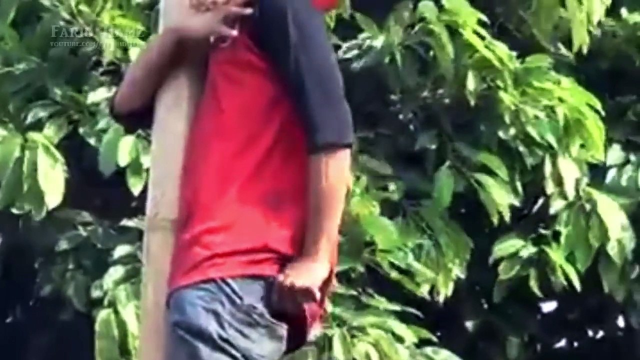 Video Lucu Ngakkak !! Lomba 17 Agustusan Kocak, Lucu Banget