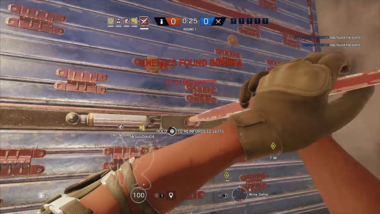 Lesion Chalet 3K