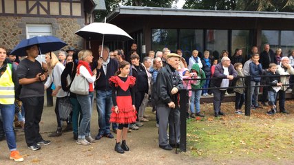 Défilé des Mille sabots