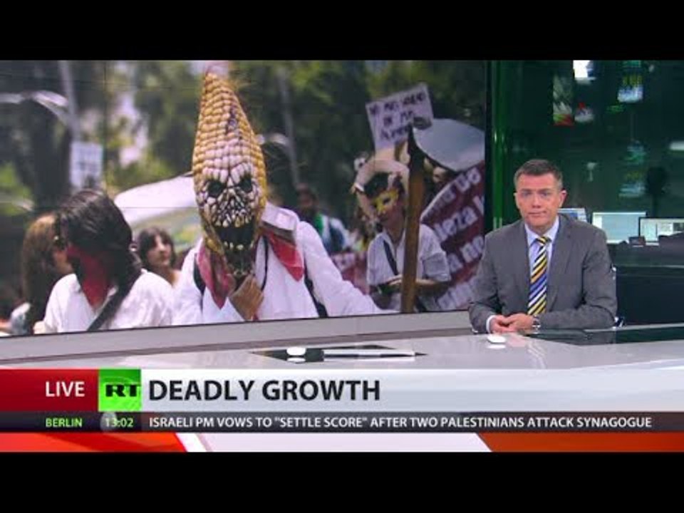 Seed of Suicide? Indian farmer widows blame GMO giants for fatal crop failures