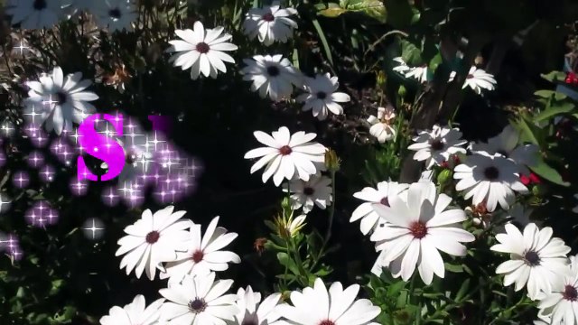 Se hace rápido Flores de Primavera faciles uñas de los pies/Floral design toe nail art