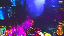 RAVE IN THE REDWOODS PACK A PUNCH TUTORIAL! FULL PACK A PUNCH GUIDE | BOAT | POWER | IW ZOMBIES
