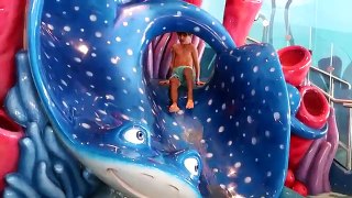 Water Fun Play - Disney Nemos Reef Slide