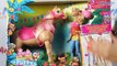 Barbie i siostry: Na tropie piesków - Barbie i Tańczący Koń / Barbie and Dancing Horse - DMC30