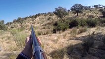 What a rifle shot The advantages of a short... - Best hunting and fishing