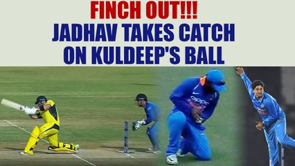 Download Video: India vs Australia 3rd ODI : Kuldeep Yadav take Aron Finch's wicket, Jadhav takes catch | Oneindia