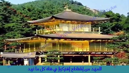 هذا ما فعله أثرياء العالم بمالهم الفائض لديهم الاسراف والتبذير بام عينه