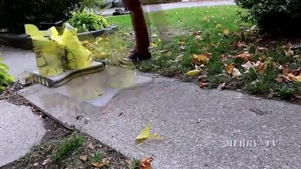 CRAZY HOMEMADE INVENTIONS 2017