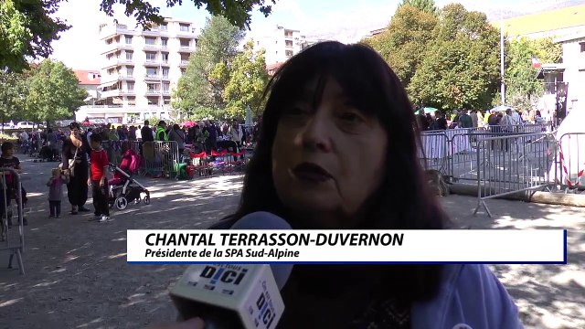 D!CI TV : la SPA Sud-Alpine a rencontré un nouveau succès lors de son vide-grenier à Gap
