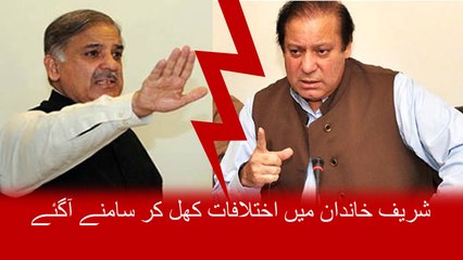 Shahbaz Sharif Stands Against Nawaz Sharif