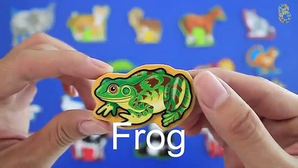 Wooden Magnets Toys - Learning Animals Names and Sounds for kids