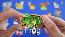 Wooden Magnets Toys - Learning Animals Names and Sounds for kids