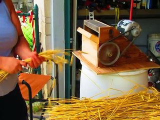 Wheat Threshing- Homemade Thresher