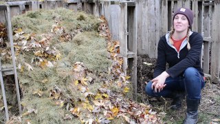 Composting 101: Stupid-Easy Compost Making in Piles & Bins