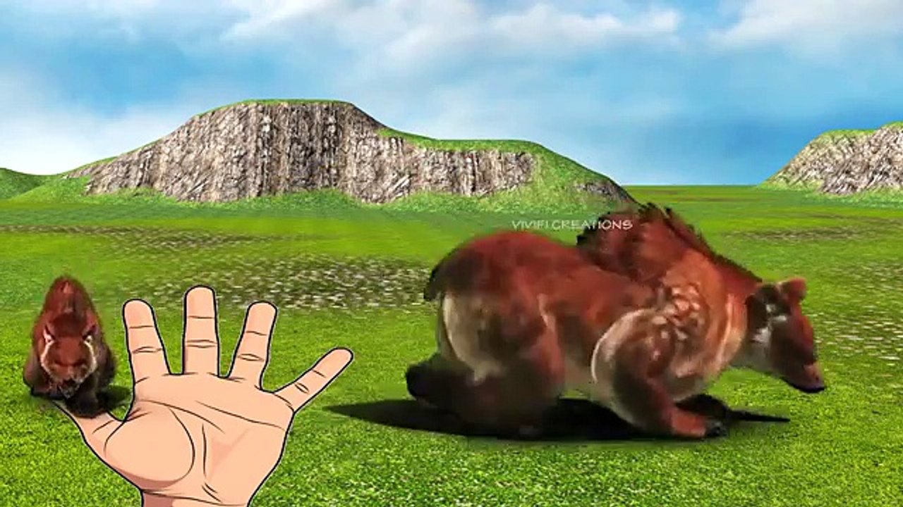 Finger Family Nursery Rhymes | Wild Animal Finger Family Rhymes Collection | Learn Wild Animals