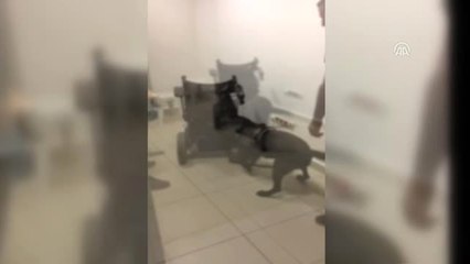 Akülü Engelli Aracında Uyuşturucu Ele Geçirildi