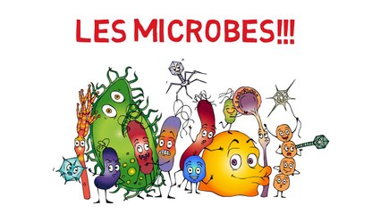 MCB-1909 Les microbes et vous