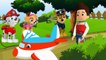 Paw Patrol PUPPY save ANIMALS from the volcano Full episodes! Nursery Rhymes Groovy The Martian