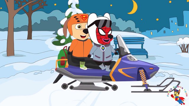 Paw Patrol Teased Dog & Being Bitten Funny Story Cartoon Animation Nursery Rhymes For Kids , cartoons animated Movies comedy action tv series 2018