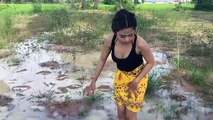 Beautiful girl fishing- Amazing fishing at battambang- Cambodia Traditional fishing