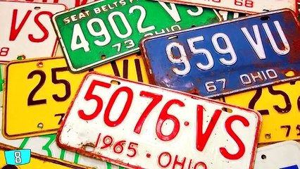 10 WEIRDEST Things Found Inside a Sharks Stomach