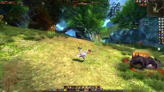 Bêta fermé cachot chasseresse Eos lvl 30 solo