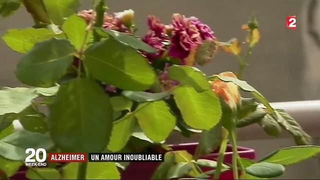 Ne t'en fais pas. On a encore tout plein de temps ensemble : Michèle et Jean, un couple uni face à la maladie d'Alzheimer