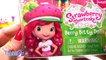 Çilek Kız Sürpriz Yumurta Oyun Hamuru Strawberry Shortcake Shopkins Hello Kitty MLP LPS