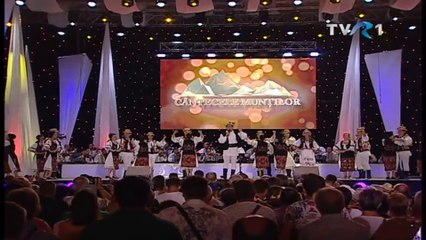 Daniel Pop - Horile m-o dus prin lume - live