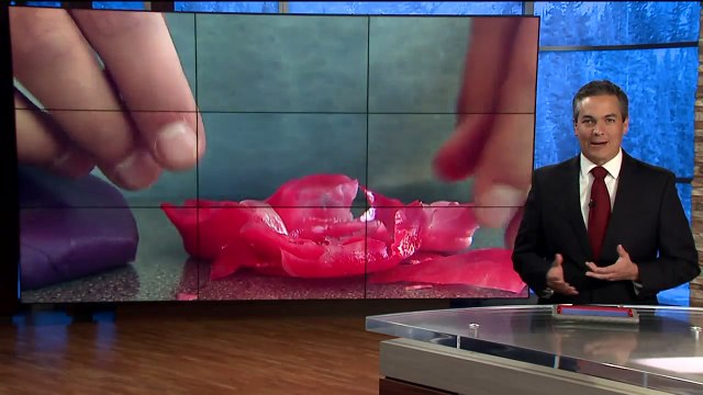 `Lickety Spin:` Fourth Grader Creates DIY Candy Fidget Spinner Kit