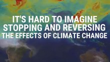 Climate Scientist Explains Why You Should Be Optimistic About The Planet’s Future