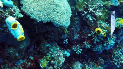 地狱级黑暗料理竟能撩汉- 37_高清